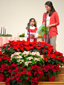 Image of an adult and child viewing a sea of Poinsettia's at Northlake UU