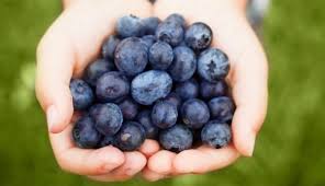 Hands with blueberries